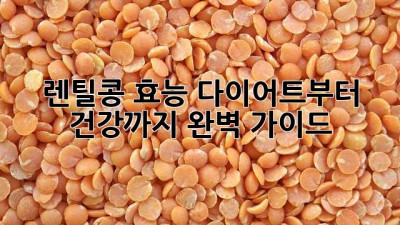 렌틸콩 효능: 다이어트부터 건강까지 완벽 가이드