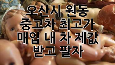 오산시 원동 중고차 최고가 매입! 내 차 제값 받고 팔자!