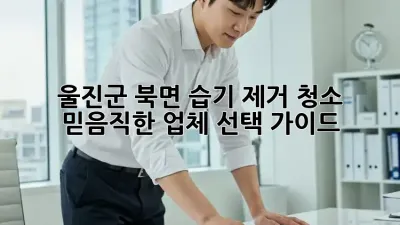 울진군 북면 습기 제거 청소: 믿음직한 업체 선택 가이드