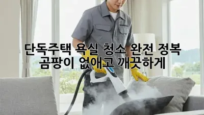 단독주택 욕실 청소 완전 정복! 곰팡이 없애고 깨끗하게 ✨