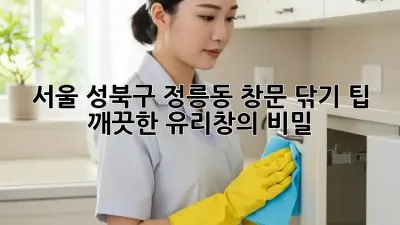 서울 성북구 정릉동 창문 닦기 팁: 깨끗한 유리창의 비밀