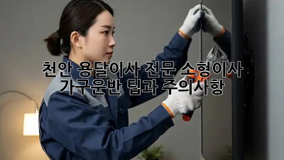 천안 용달이사 전문: 소형이사, 가구운반 팁과 주의사항