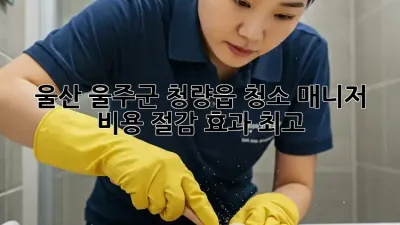 울산 울주군 청량읍 청소 매니저: 비용 절감 효과 최고!